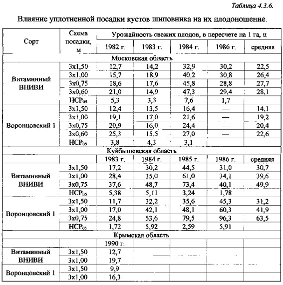 Які схеми посадки шипшини є оптимальними для плантації?